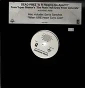 Dead Prez - U R Ripping Us Apart!!!