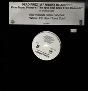 Dead Prez - U R Ripping Us Apart!!!