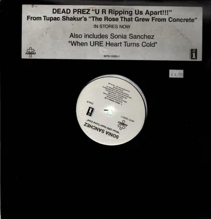 Dead Prez - U R Ripping Us Apart!!!