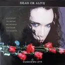 12'' - Dead Or Alive - Hooked On Love