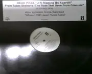 12'' - Dead Prez - U R Ripping Us Apart!!!