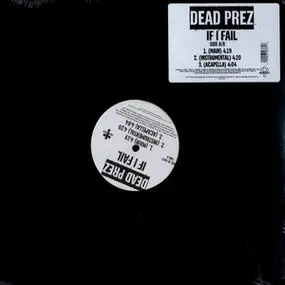 Dead Prez - If I Fail