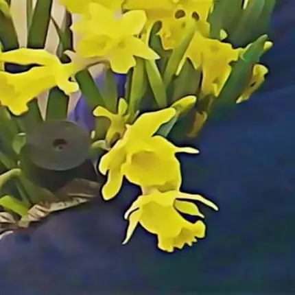 Dean Blunt & Elias Bender Rønnenfelt - Lucre