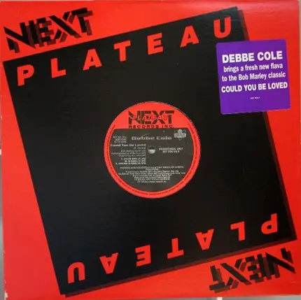 Debbe Cole - Could You Be Loved