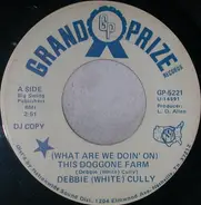 Debbie (White) Cully , LLoyd White - (What Are We Doin' On) This Doggone Farm / Cornshuckin' Song