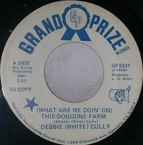 Debbie - (What Are We Doin' On) This Doggone Farm / Cornshuckin' Song