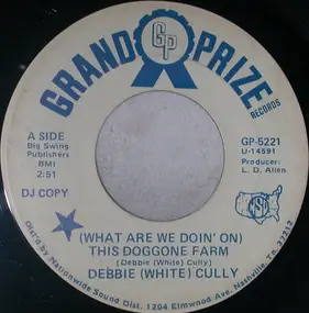 Debbie - (What Are We Doin' On) This Doggone Farm / Cornshuckin' Song