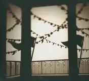 Decibully - City of Festivals