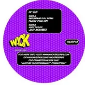 DJ Rebel - Turn You On