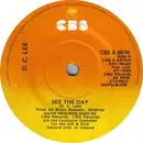 7inch Vinyl Single - Dee C. Lee - See The Day