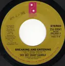 7inch Vinyl Single - Dee Dee Sharp Gamble - Breaking And Entering