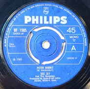 Dee Jay And The Runaways - Peter Rabbit