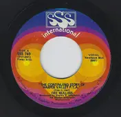 Dee Mullins - The Continuing Story Of Harper Valley P.T.A.
