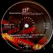12inch Vinyl Single - Deep Forest - Endangered Species (Remixed By Galleon)