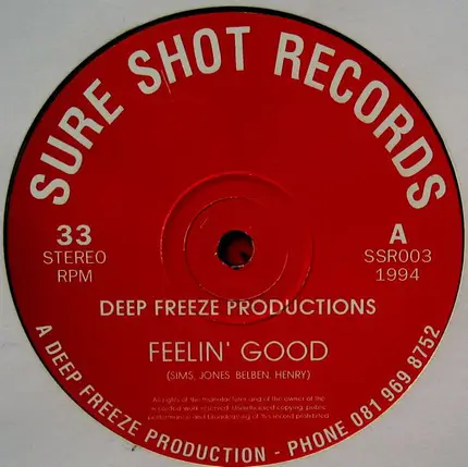 Deep Freeze Productions - Feelin' Good