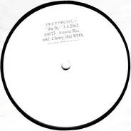 Deep Project - The Fly