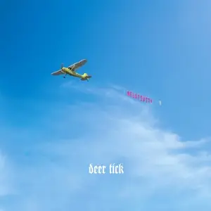 deer tick - Negativity