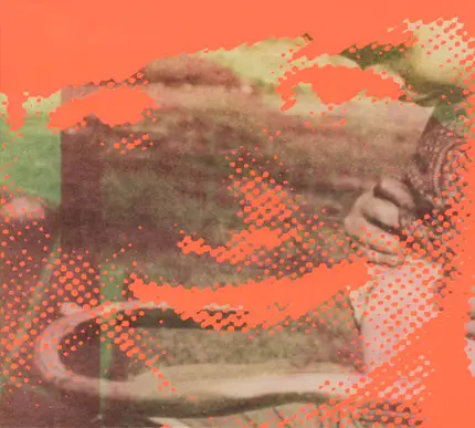 Deerhunter - Fluorescent Grey
