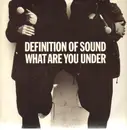 12'' - Definition Of Sound - What Are You Under