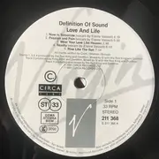 LP - Definition Of Sound - Love And Life: A Journey With The Chameleons - Misprint