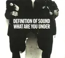 12inch Vinyl Single - Definition Of Sound - What Are You Under