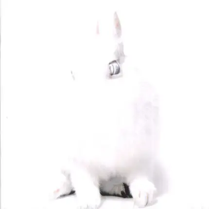 Deine Lakaien - White Lies