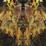Deison/K.K. Null - Into