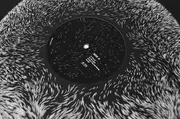 LP - Deko Deko - Neustadt