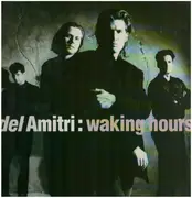LP - Del Amitri - Waking Hours