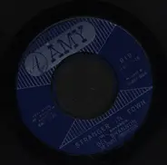 Del Shannon - Stranger In Town