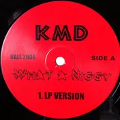 Del tha Funkee Homosapien - Wrong Place / What A Niggy