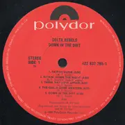 LP - Delta Rebels - Down In The Dirt