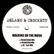 Delano & Crockett - Walking On The Moon