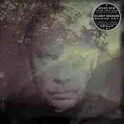 delaney davidson - Shining Day