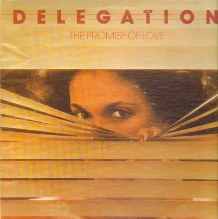 Delegation - The Promise of Love