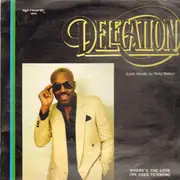 12'' - Delegation - Where's The Love (We Used To Know)