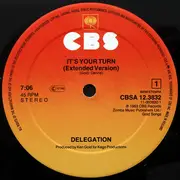 12inch Vinyl Single - Delegation - It's Your Turn