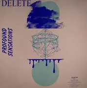 12inch Vinyl Single - Delete - Profound Sensations