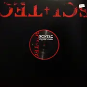 12inch Vinyl Single - Delete - Flight Schedule