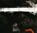 CD - Delicate Noise - Diversion - Digipak