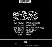 CD - Delicate Steve - Till I Burn Up - digipak