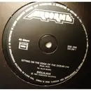 12inch Vinyl Single - Delilah - Sitting On The Edge Of The Ocean
