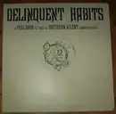 12inch Vinyl Single - Delinquent Habits - Feel Good