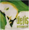 12inch Vinyl Single - Delis - Neverending Love