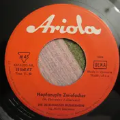 Dellnhauser Musikanten - Hopfazupfa Zwiefacher / Hopfakirm