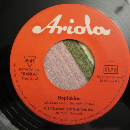 Dellnhauser Musikanten - Hopfazupfa Zwiefacher / Hopfakirm