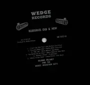 LP - Delmar Delay And The Windy Mountain Boys - Bluegrass Old & New