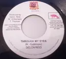 7inch Vinyl Single - Delon Reid - Through My Eyes