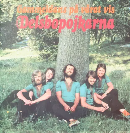 Delsbopojkarna - Gammeldans På Vårat Vis