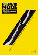 12inch Vinyl Single-Box - Depeche Mode - Some Great Reward | The 12' Singles - Still Sealed, 6 X 12 inch + Poster, Numbered